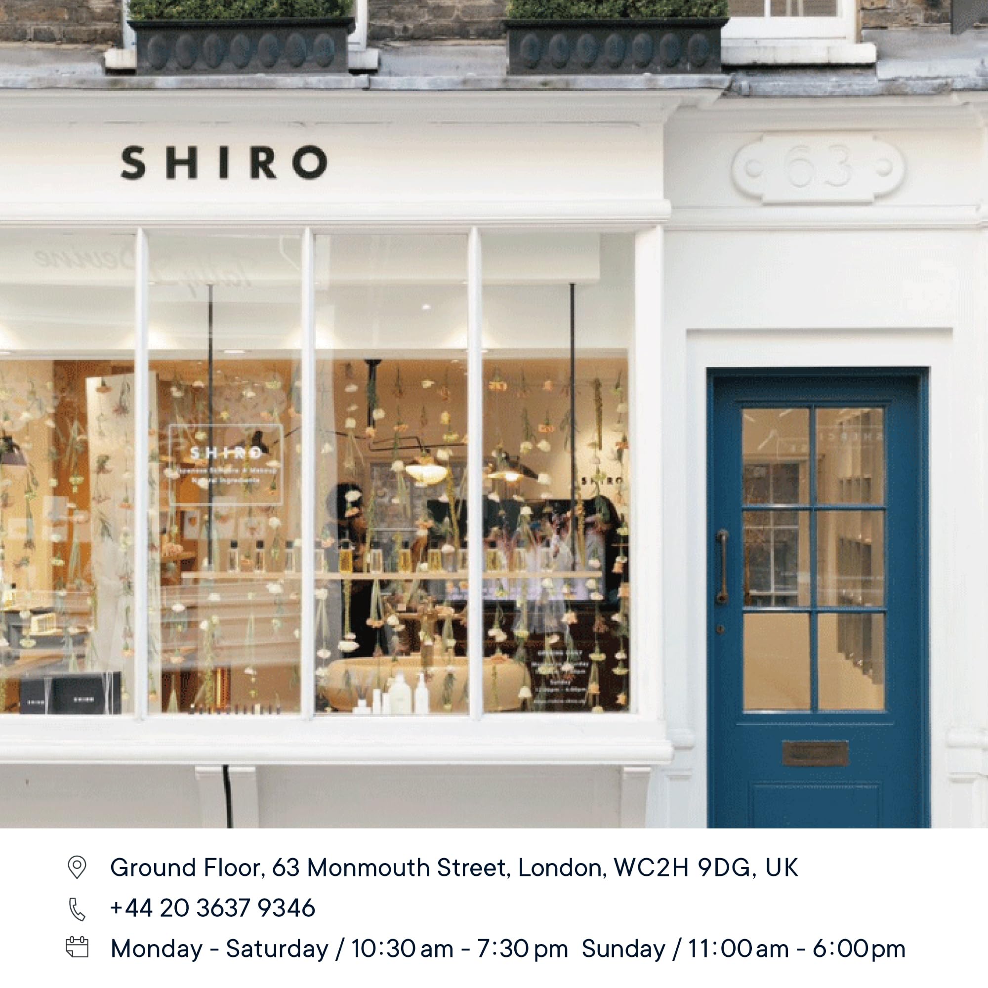 SHIRO PERFUME SMOKED LEATHER 100mL : Amazon.co.uk: Beauty