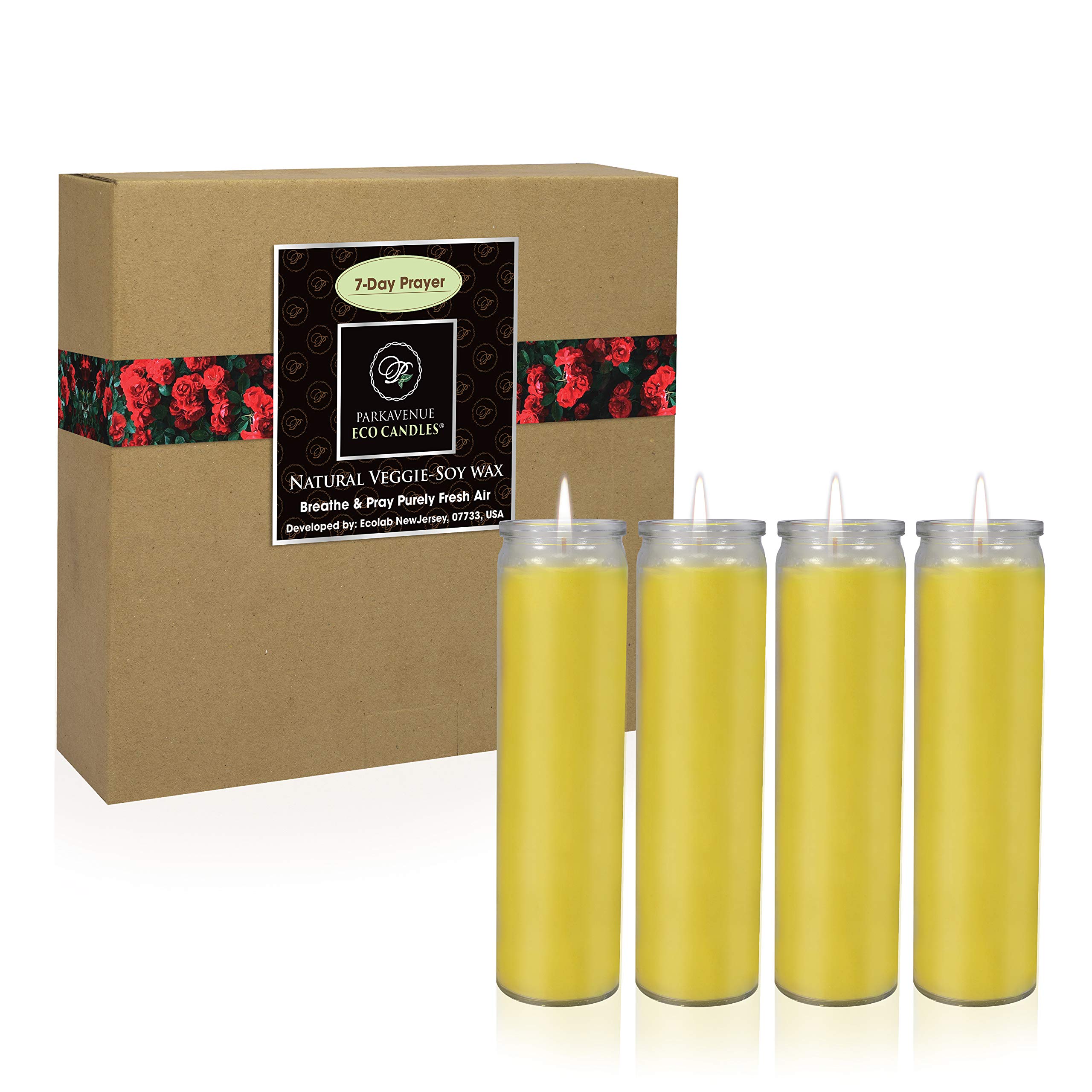 Buy CocoSoy 7Day Devotional Prayer Candles, Premium Coconut Soy Wax