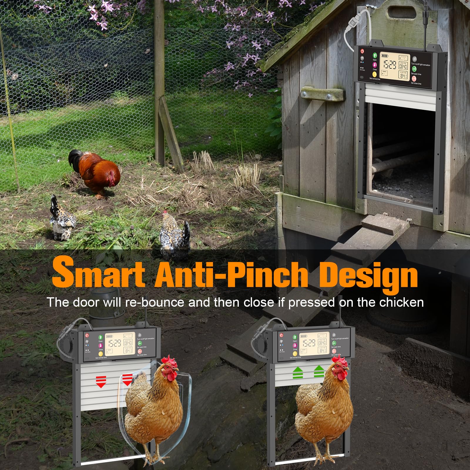 Puerta automática de pollo solar de aluminio, tapa eléctrica para pollos con aplicación WiFi, sensor de luz, temporizador, mando a distancia, pantalla LCD, batería de 4000 mAh y protección contra