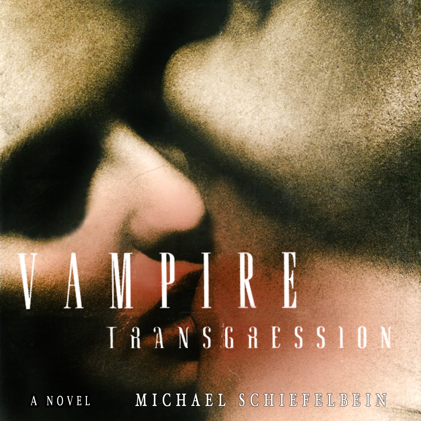 Cover art for Vampire Transgression