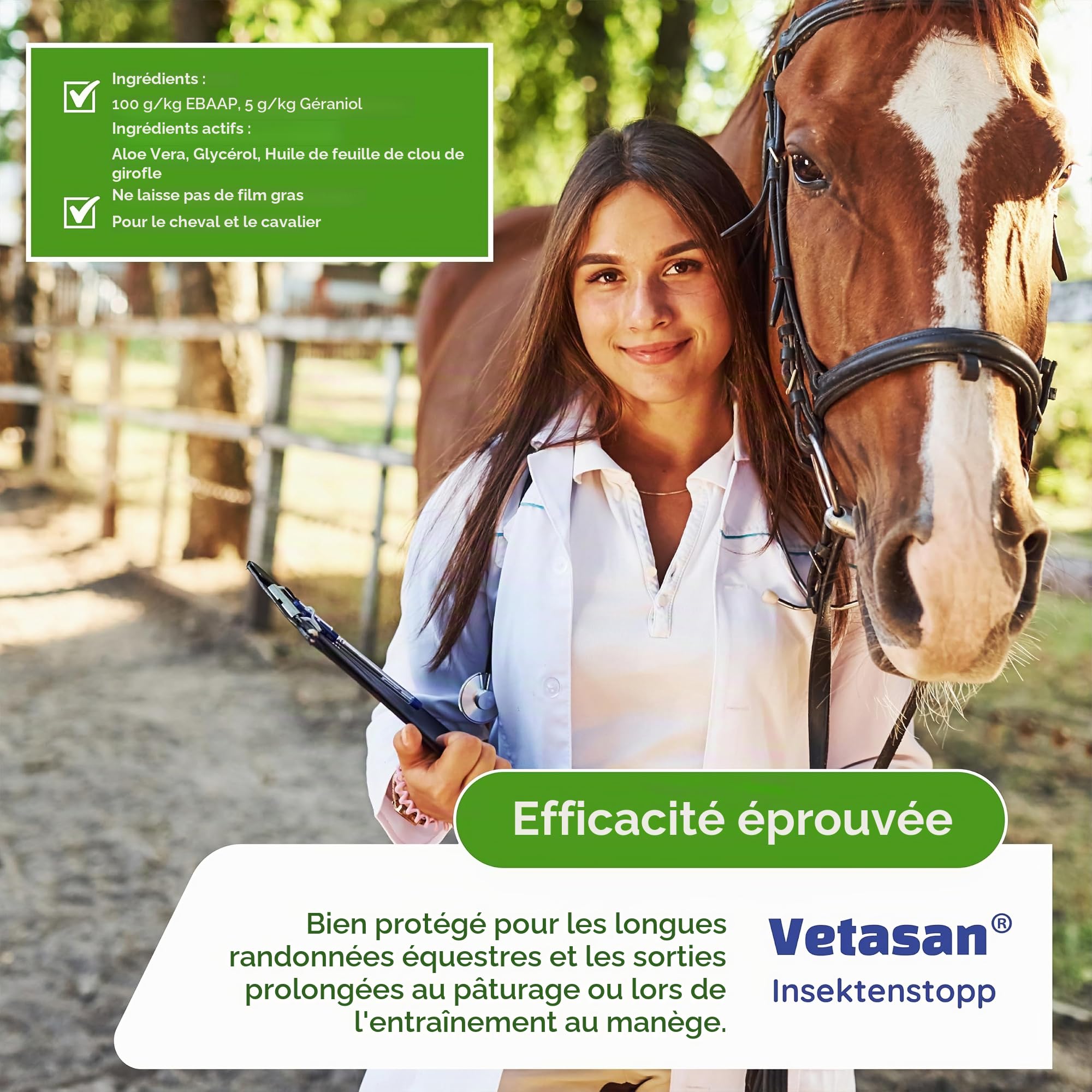 Spray anti-mouches cheval (3 l)
