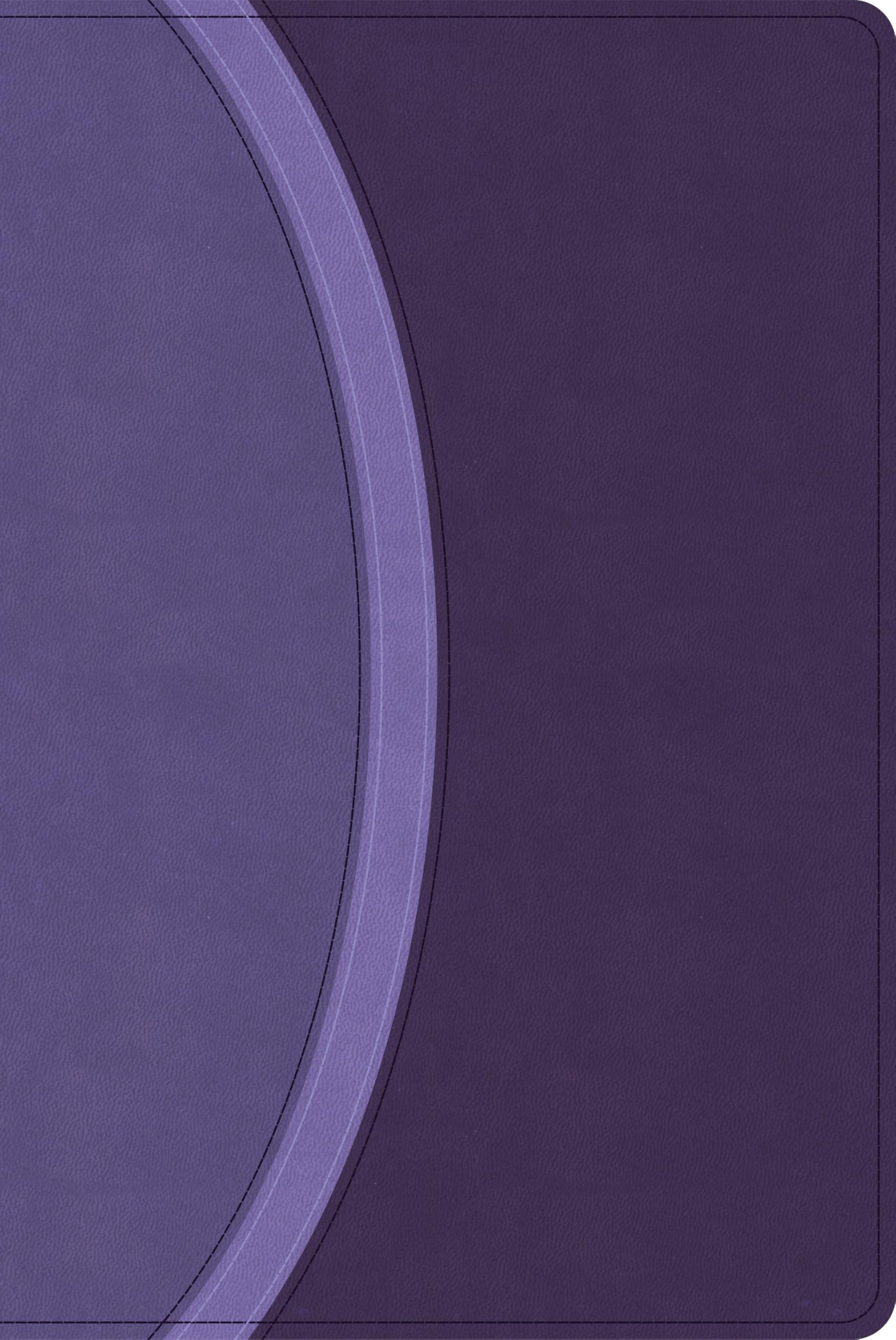 CSB Rainbow Study Bible, Purple LeatherTouch (Limited Edition)