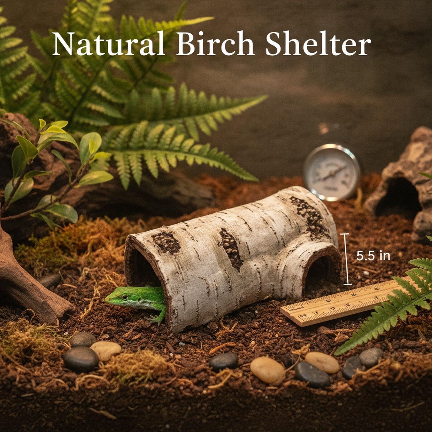 Birch Wood Hideout