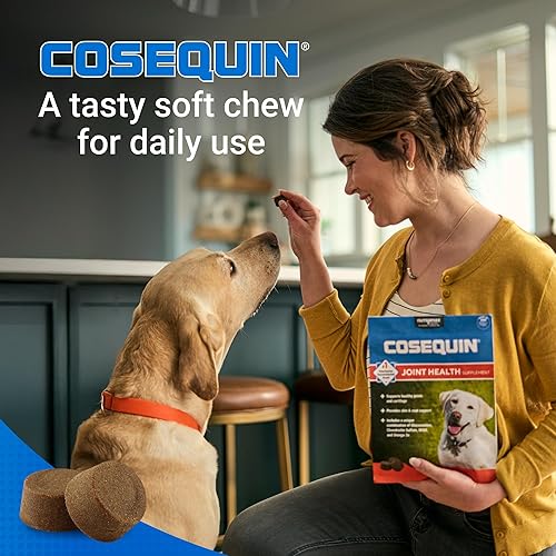 Miniatura 4 de Cosequin Suplemento de salud articular para perros - Con glucosamina, condroitina, MSM y omega-3, 120 masticables suaves