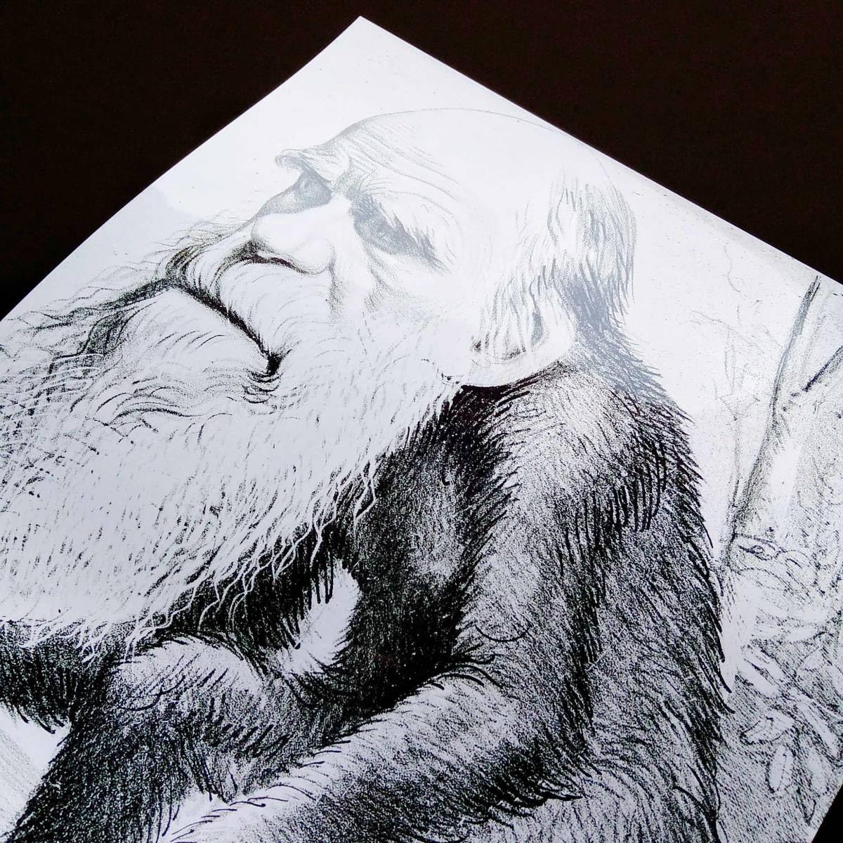 風刺画 天牛書店 Images】アンティーク素材専門ストックフォトサイト