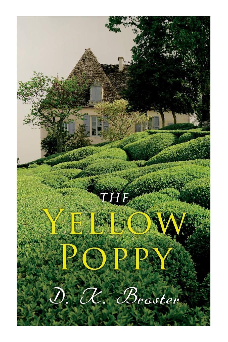 The Yellow Poppy: Historical Novel