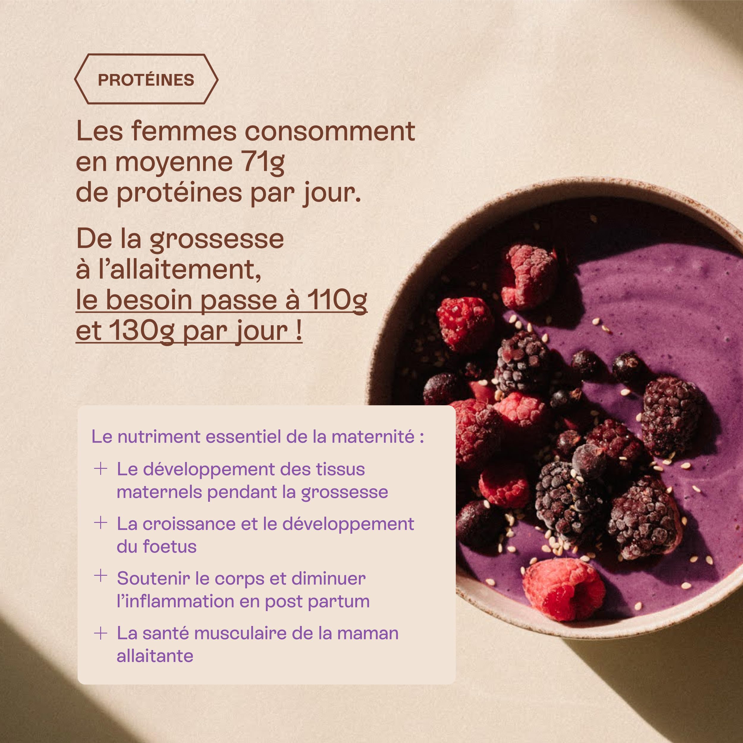 Jolly mama! Purple Power | Poudre de Protéines Végétales Bio | Açaï et Myrtille | Compatible Grossesse & Allaitement | 100% d'Origine Bio | Fabriqué en France | Pot 264g