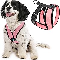 Gooby Choke Free Comfort x Morbido Dog Harness