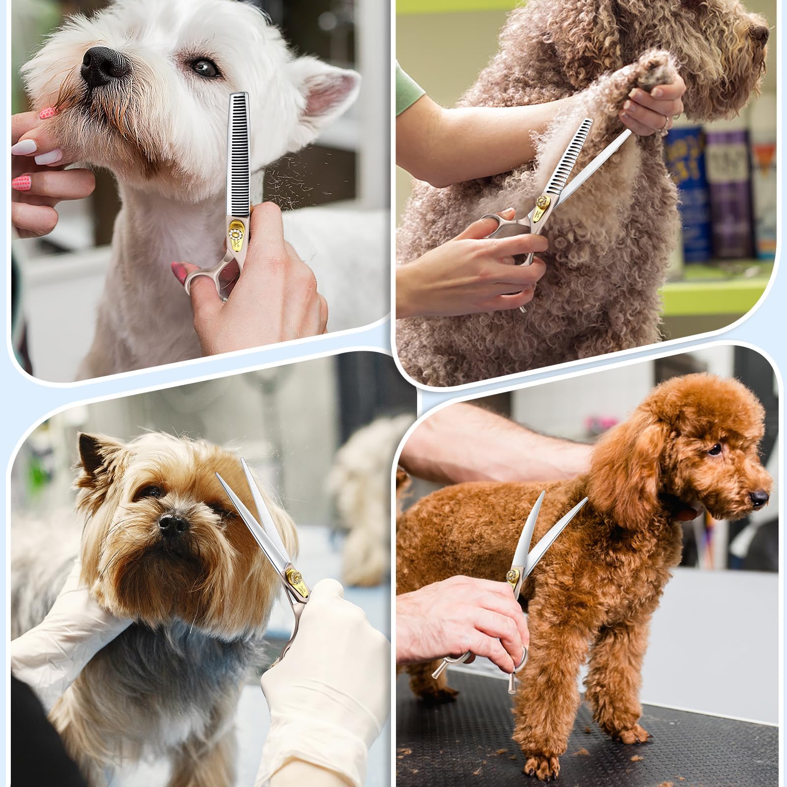 JASON Set di forbici professionali 6 in 1 per la toletta del cane, affilate e resistenti, 17,8 cm, sfoltitori, tronconi, dritte e curve e pettinino per cani, gatti, animali domestici, oro rosa