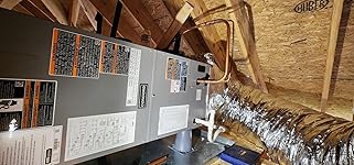 Review Image by Mark Mark