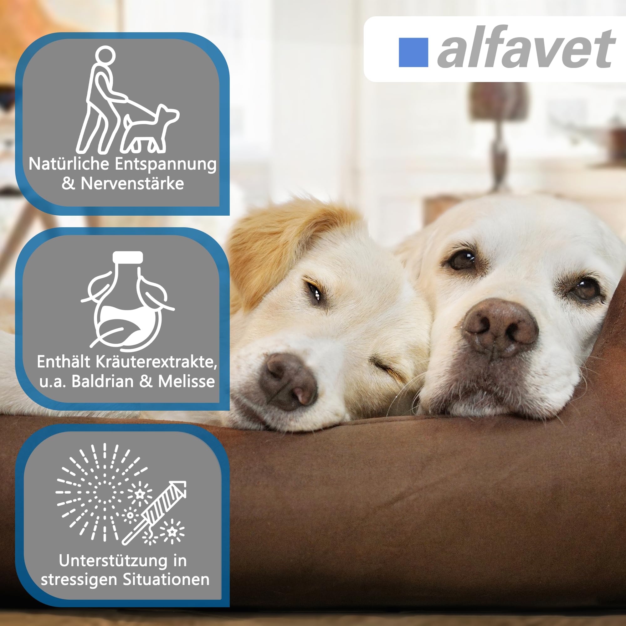 Alfavet CaniGum Relax, Ergänzungsfuttermittel für Hunde mit L-Tryptophan und B-Vitaminen, Beruhigung und Nervenstärke, 120g Kaudrops