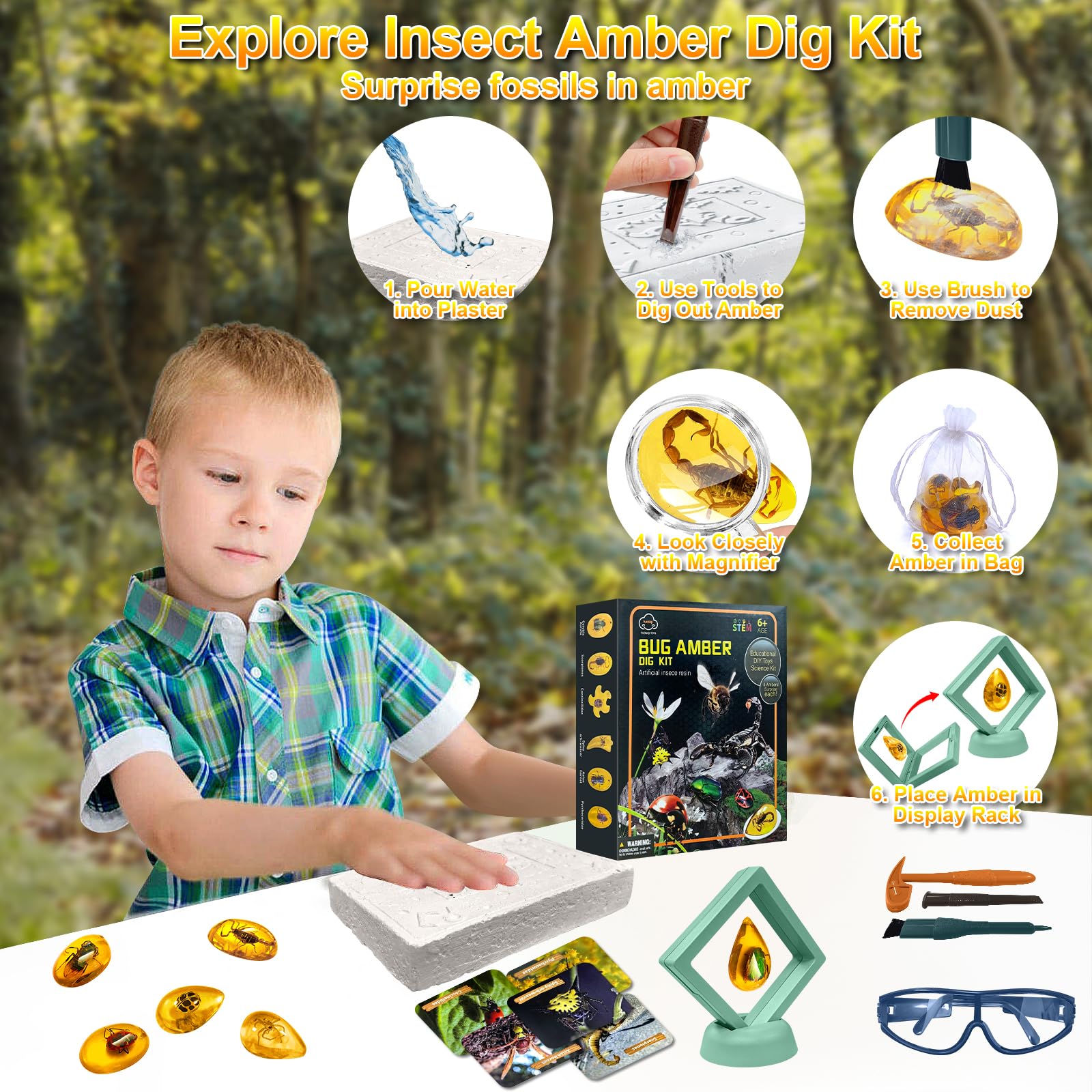 ALEENFOON Amber Fossil Dig Kit, Kids Insects Specimens Excavation Kit with Digging Tools & Booklet Record Pages - Image 3