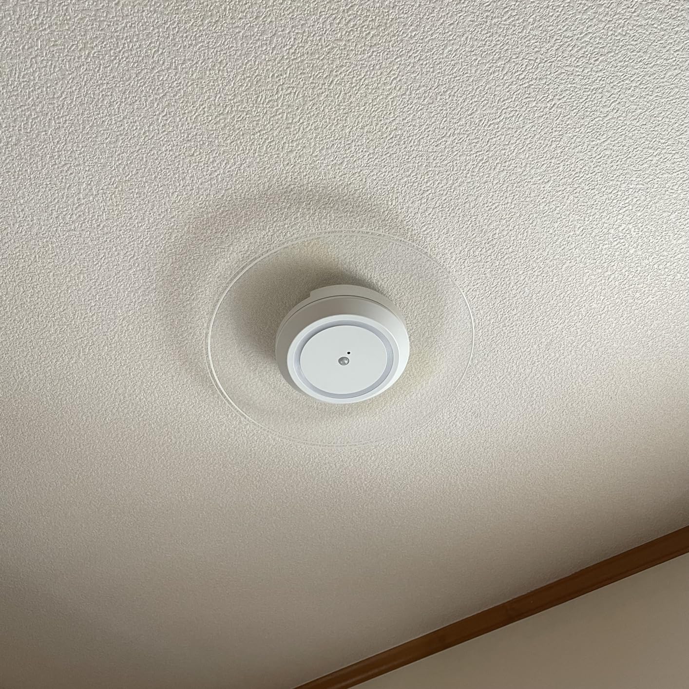 昼間の存在感、邪魔にならず