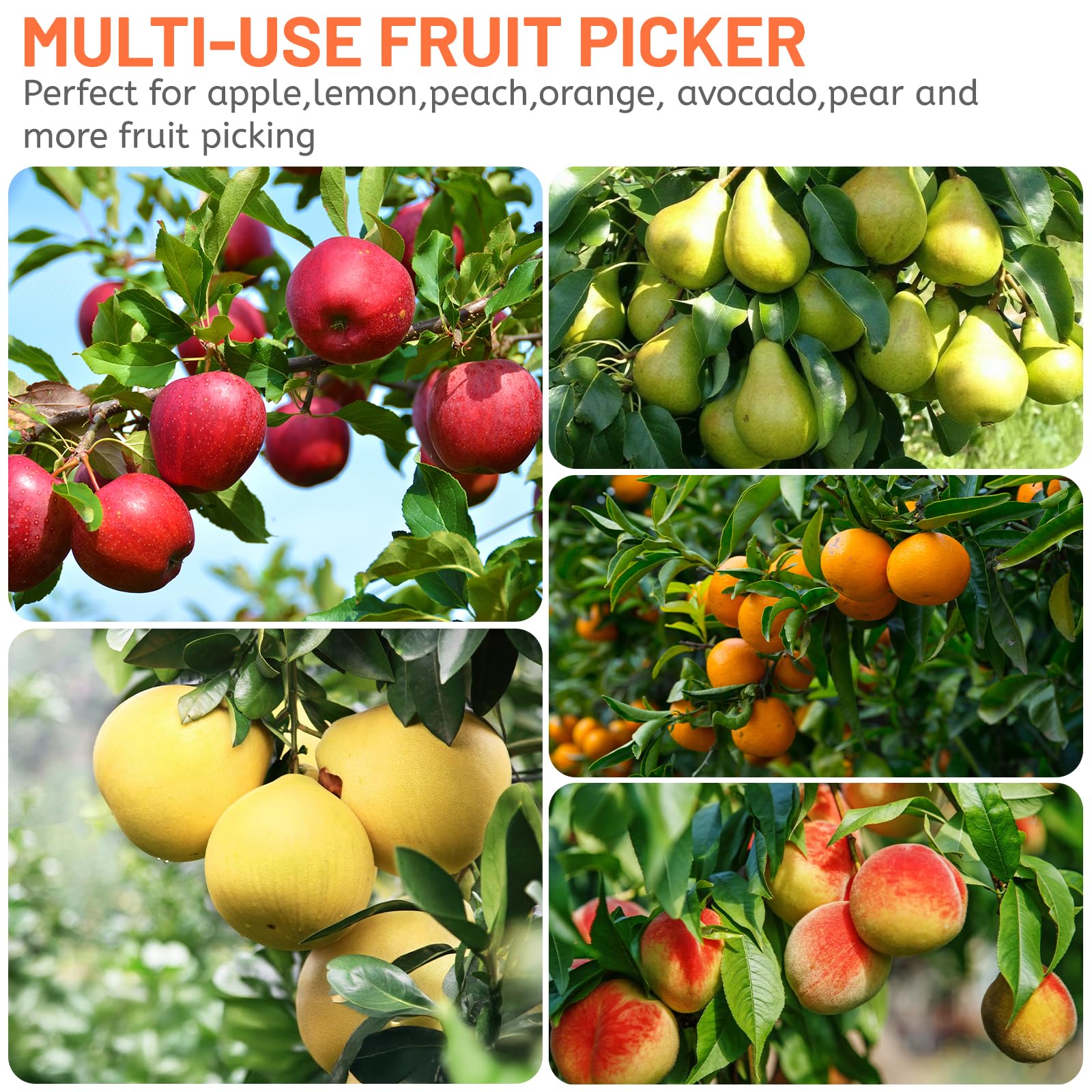 DBREAKS Raccogli Frutta, 4,2M Raccogli Mele con Manico Telescopico, Palo Leggero Raccogli Frutta, Cestino con Sacchetto di Cotone, Prugne, Raccoglitore di Ciliegie