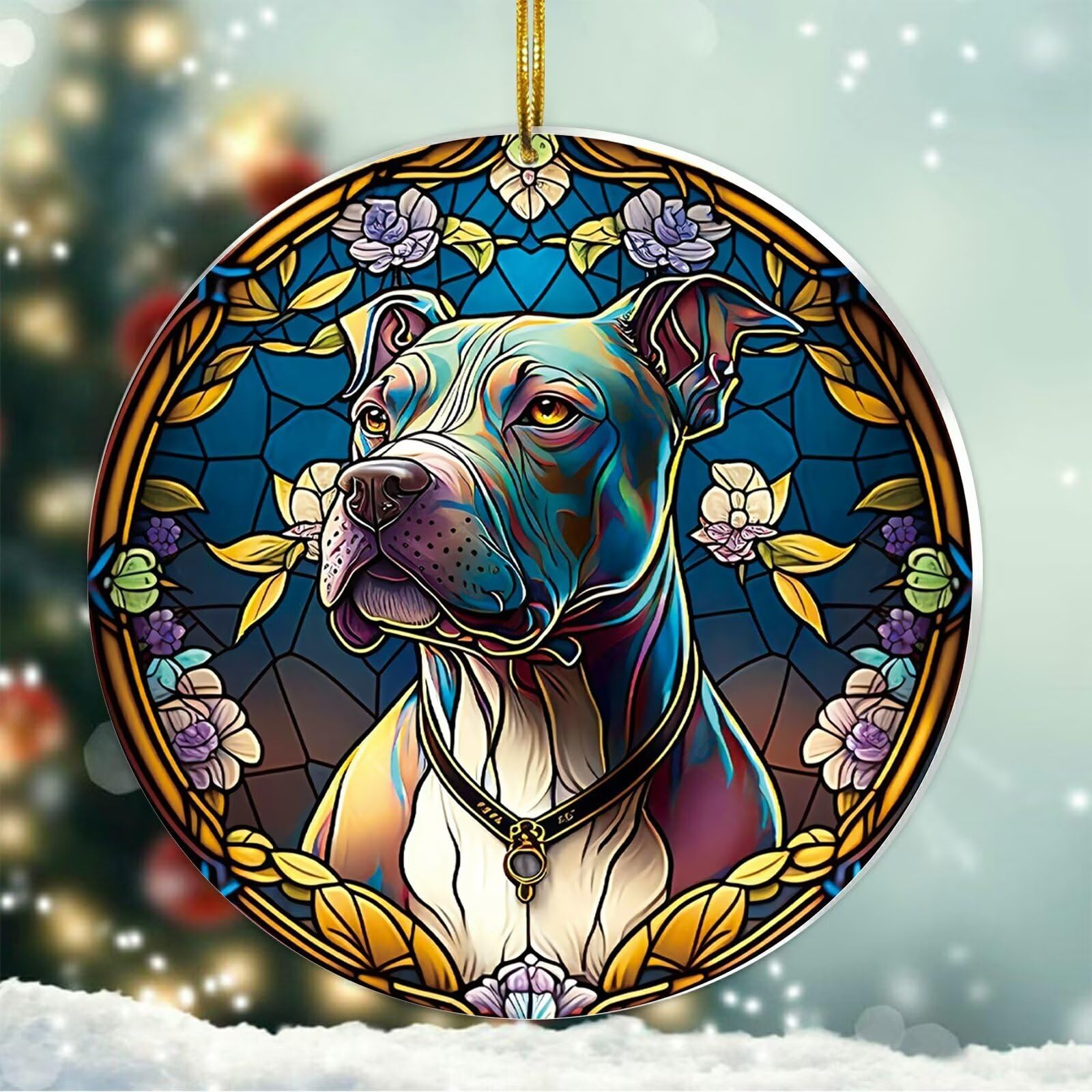 American Pitbull – STUD SERVICE – Stud Dogs Australia