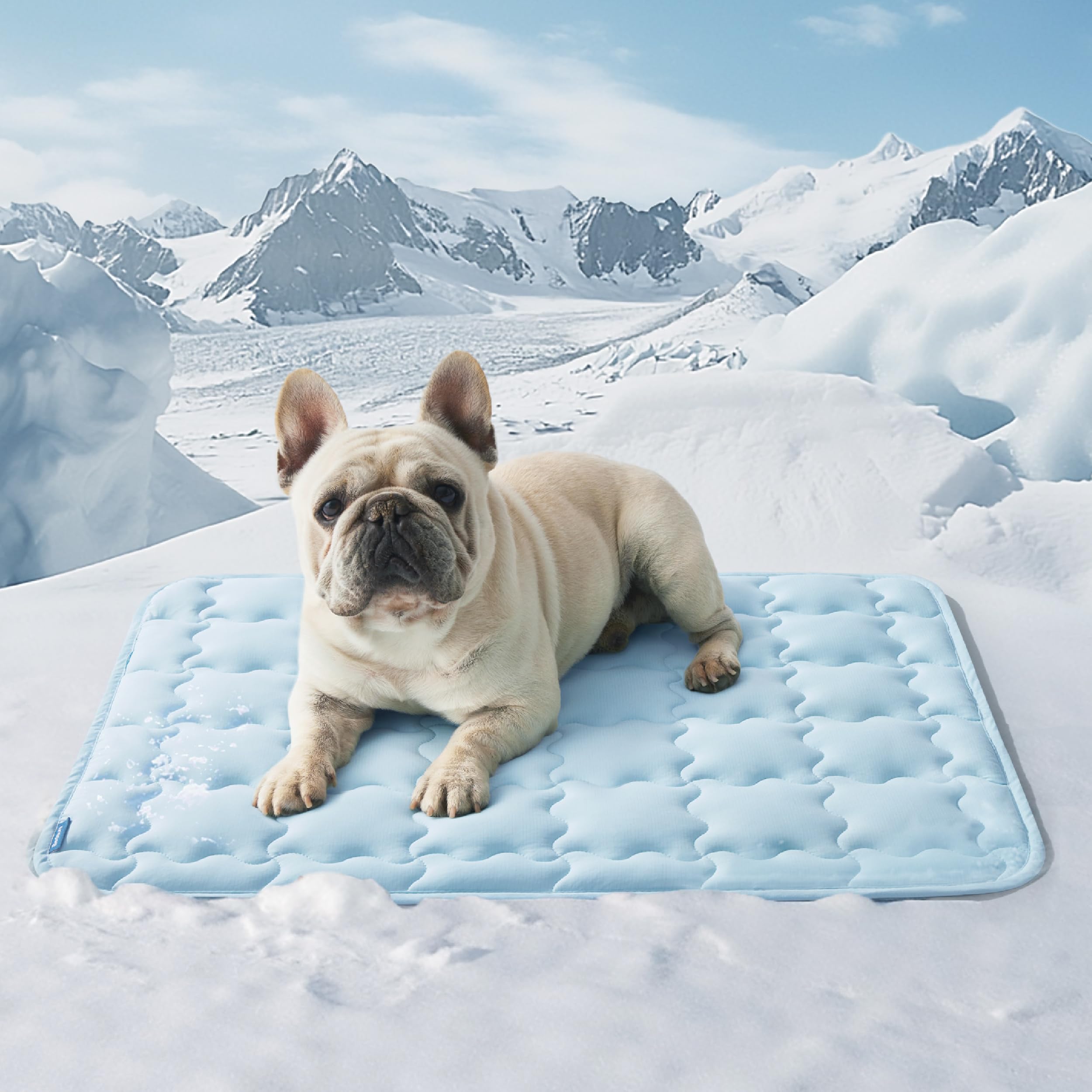 Bedsure Cooling Mat for Medium Dogs – 29x21 Thin Washable Cooling Pet Pad for Cat, QMAX>0.5, Portable Kennel Puppy Bed for Summer, Non-Slip Summer