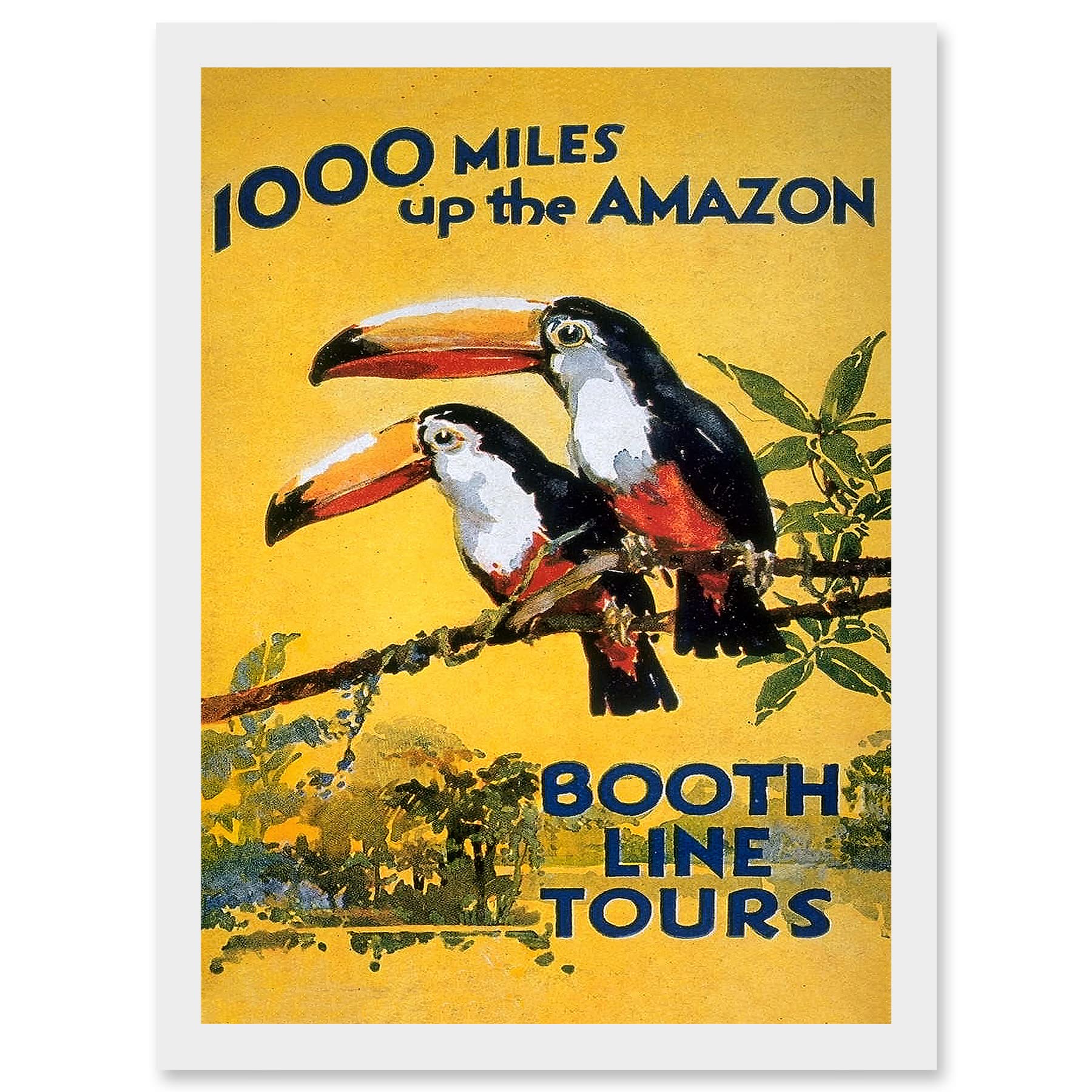 Wee Blue Coo Amazon Toucan River Brazil South America Jungle Rain Forest Vintage Travel Advert Artwork Framed Wall Art Print A4