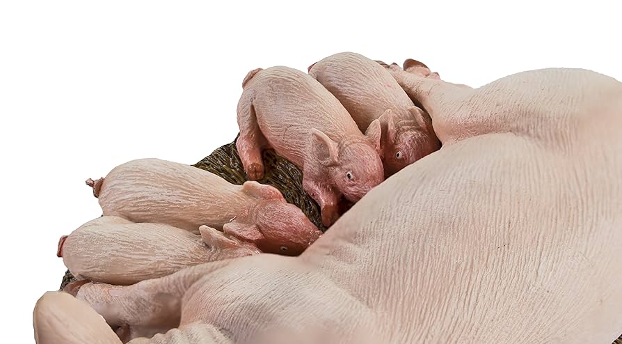 happy pig☆様 Cartoon happy pig isolated on white backgroundのイラスト素材