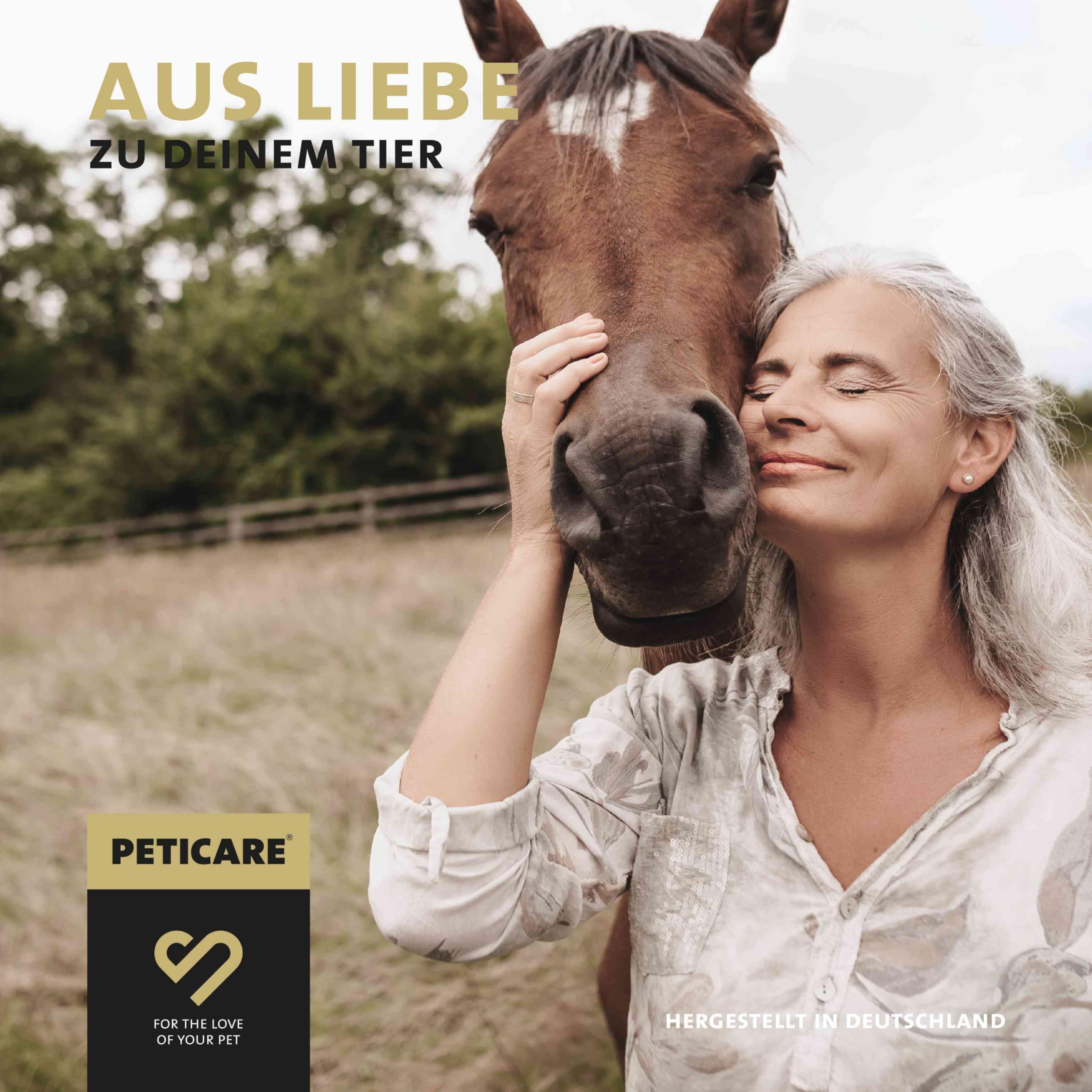 Peticare Bronchial und Husten-Mittel für Pferde | Unterstützt Atemwege & bei Erkältung, Schnupfen | Schleimlösend | Natürliche Kräuter-Formel | Hustensaft-Pulver | GMO-frei | petHorse Health 4609