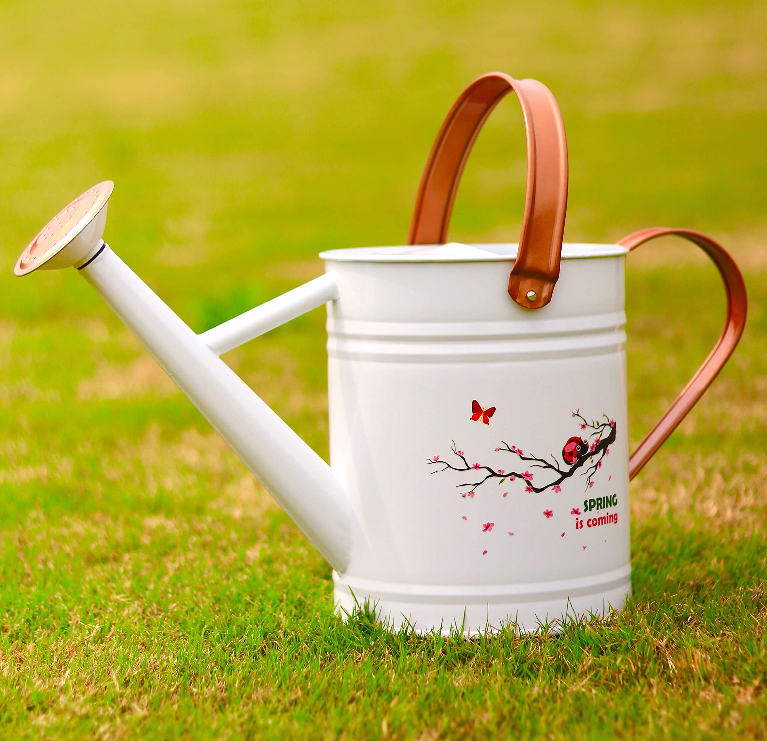 WEQUALITY Watering Can for Outdoor Plants，1 Gallon Metal Plant Watering Can with Cute Pattern，Galvanized Steel Gardening Watering Pot,Spring is Coming