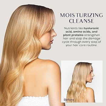Amazon.com: SUTRA Heat Guard Hair Shampoo for Frizzy, Dry