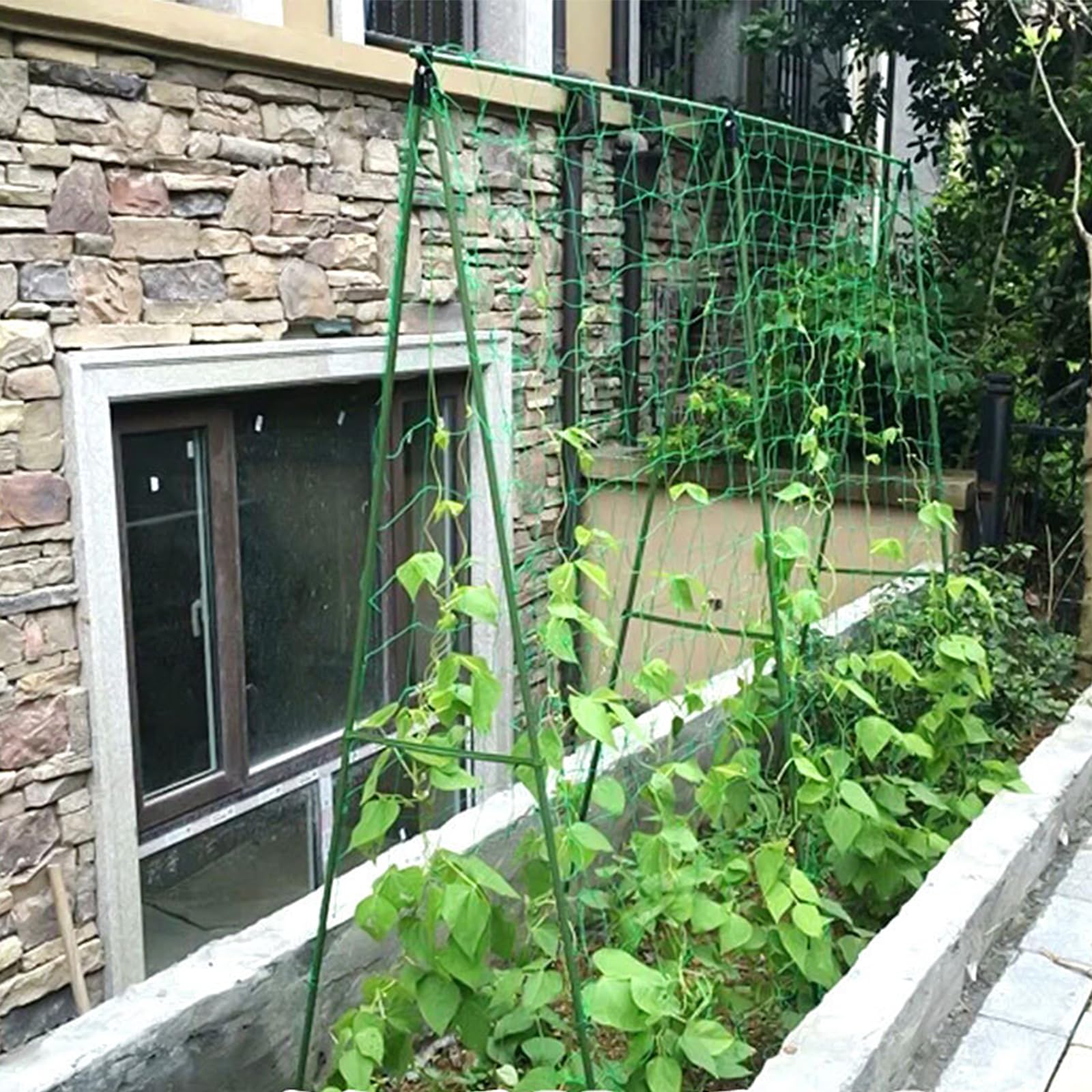 Supporto per piante rampicanti, adatto per cetrioli, soia, pomodori e altri tipi di verdure, così come il fiore di luna, traliccio in acciaio, lunghezza 120 cm