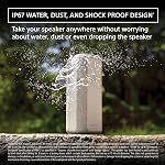 Sony SRS-XE300 Wireless Portable-Bluetooth-Speaker, IP67 Waterproof, Dustproof and Shockproof, Black- Renewed (Renewed)