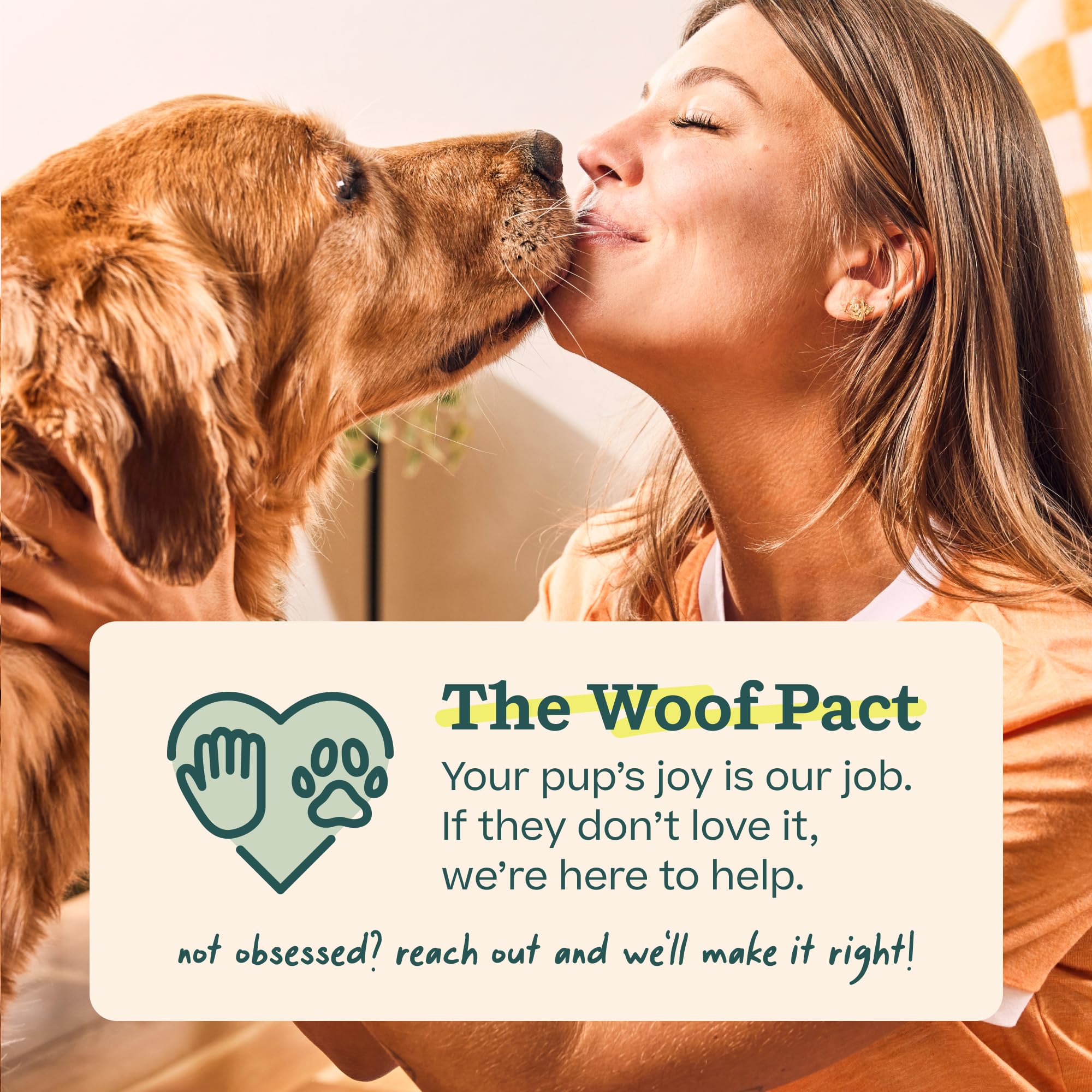 WOOF HonestChew Zabawka dla psa poroże, trwała zabawka do żucia dla psa, wykonana z naturalnych, roślinnych składników - odporna na zachlapanie - bezpieczniejsza niż kości psa, średnia