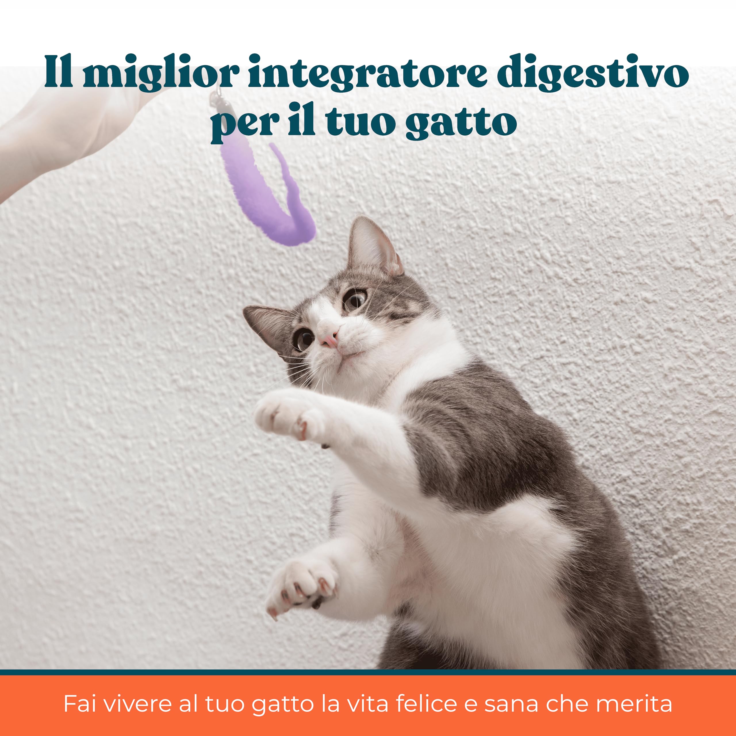 Probiotici Per Gatti Digestivo Naturale Gusto Pollo e Pesce - Integratori per Gatti Contro Diarrea, Vomito e Boli di Pelo