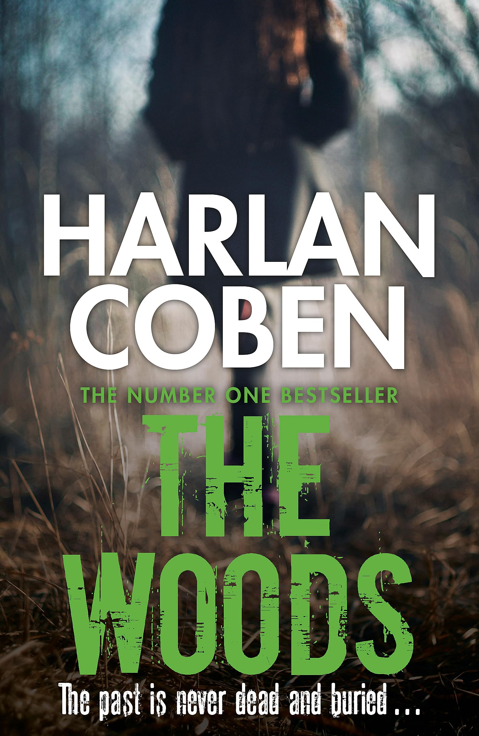 The Woods: From the Number One bestselling creator of the hit Netflix series Missing You Paperback – 19 Jun. 2014