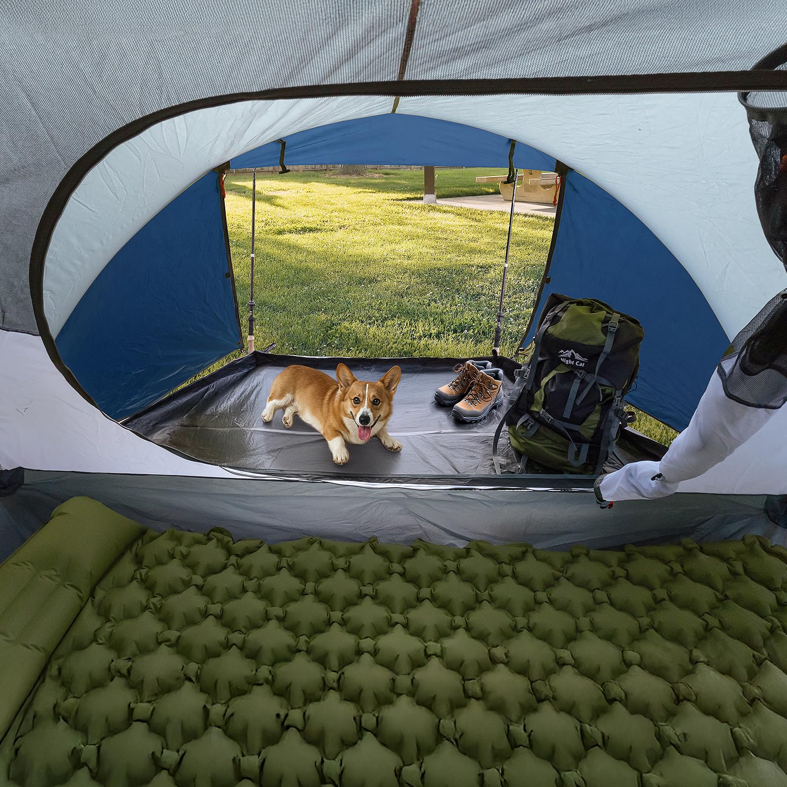 Night Cat Tenda da Campeggio 3 4 Posti: Tenda Pop Up Impermeabile Automatica Facile da Installare per Familiare Campeggio Picnic Parco Giardino