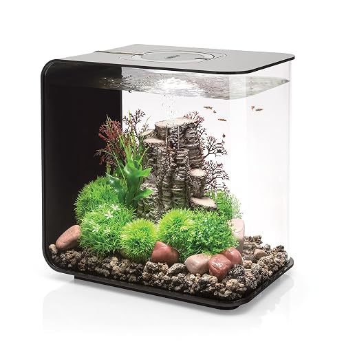 biOrb 72033 FLOW 30 LED, negro - acuario de diseño elegante