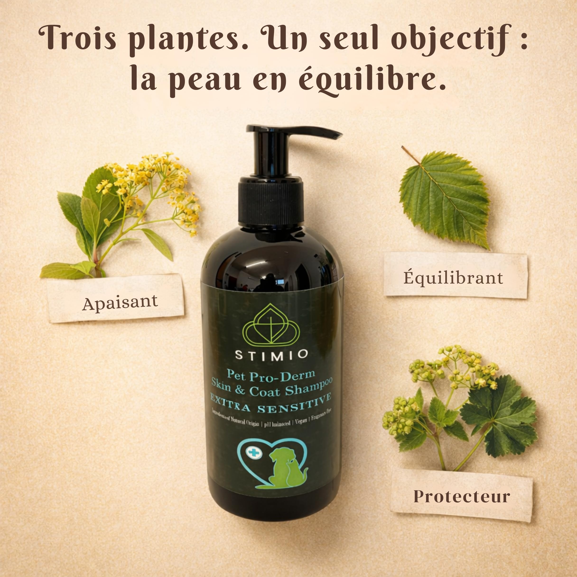 Pack économique 3×250 ml – Shampooing chien EXTRA SENSIBLE – pH doux, formule vegan, sans parfum, nettoyage doux avec extraits végétaux (tilleul, bouleau, alchémille) – pour chiens sensibles & chiots
