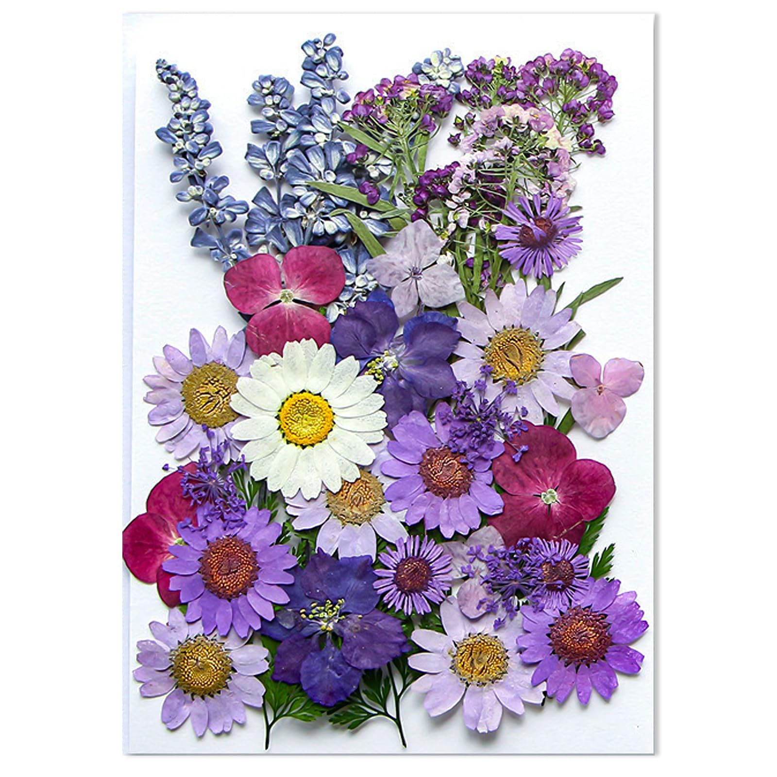 Large Dried Pressed Butterfly Sticker Flower for Resin, Big Real Nature Pressing Floral Leaves, Real Mixed Color Pressed Flowers for DIY Craft, Mold, Jewelry Making, Candle Scrapbooking Supplies