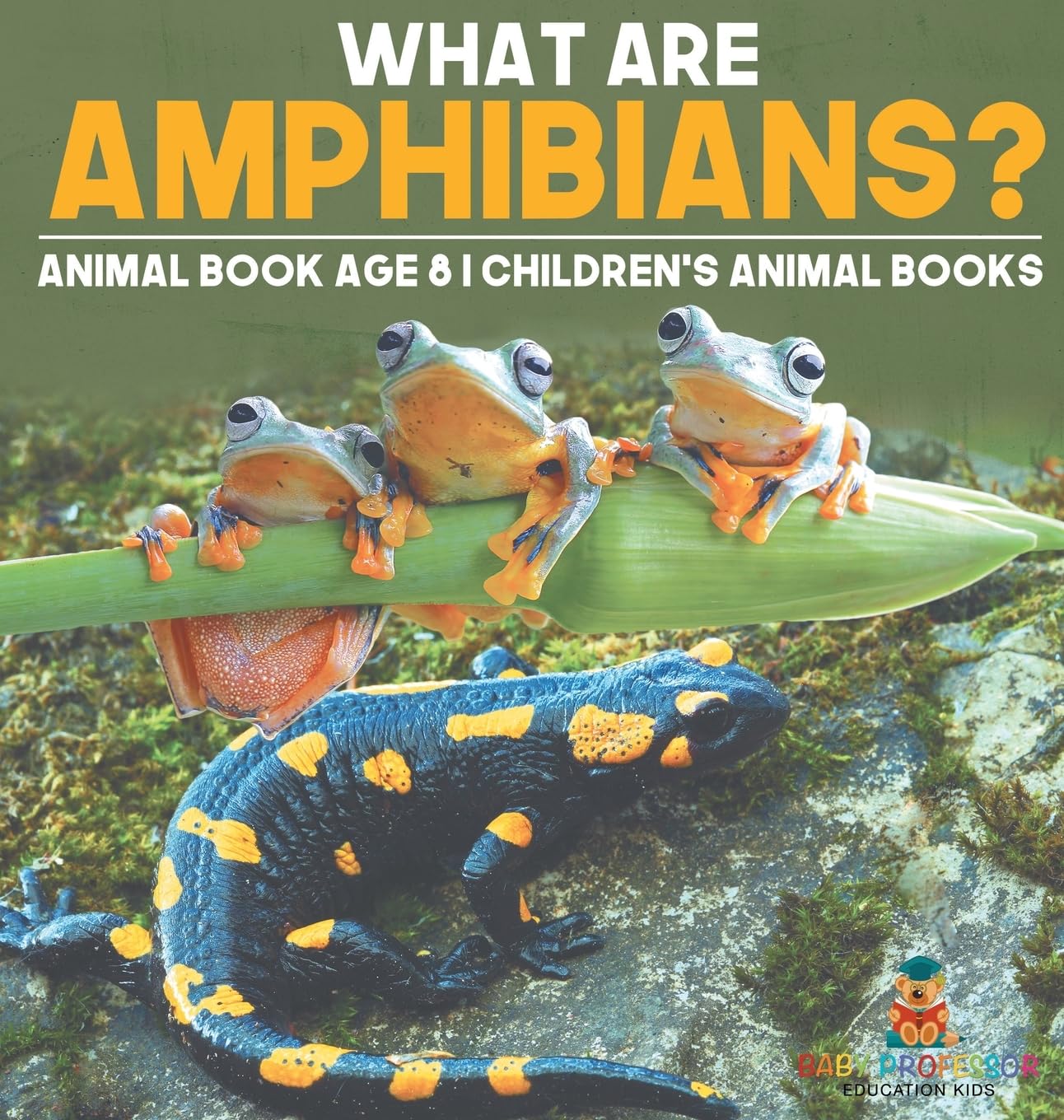 What are Amphibians? Animal Book Age 8 Children's Animal Books