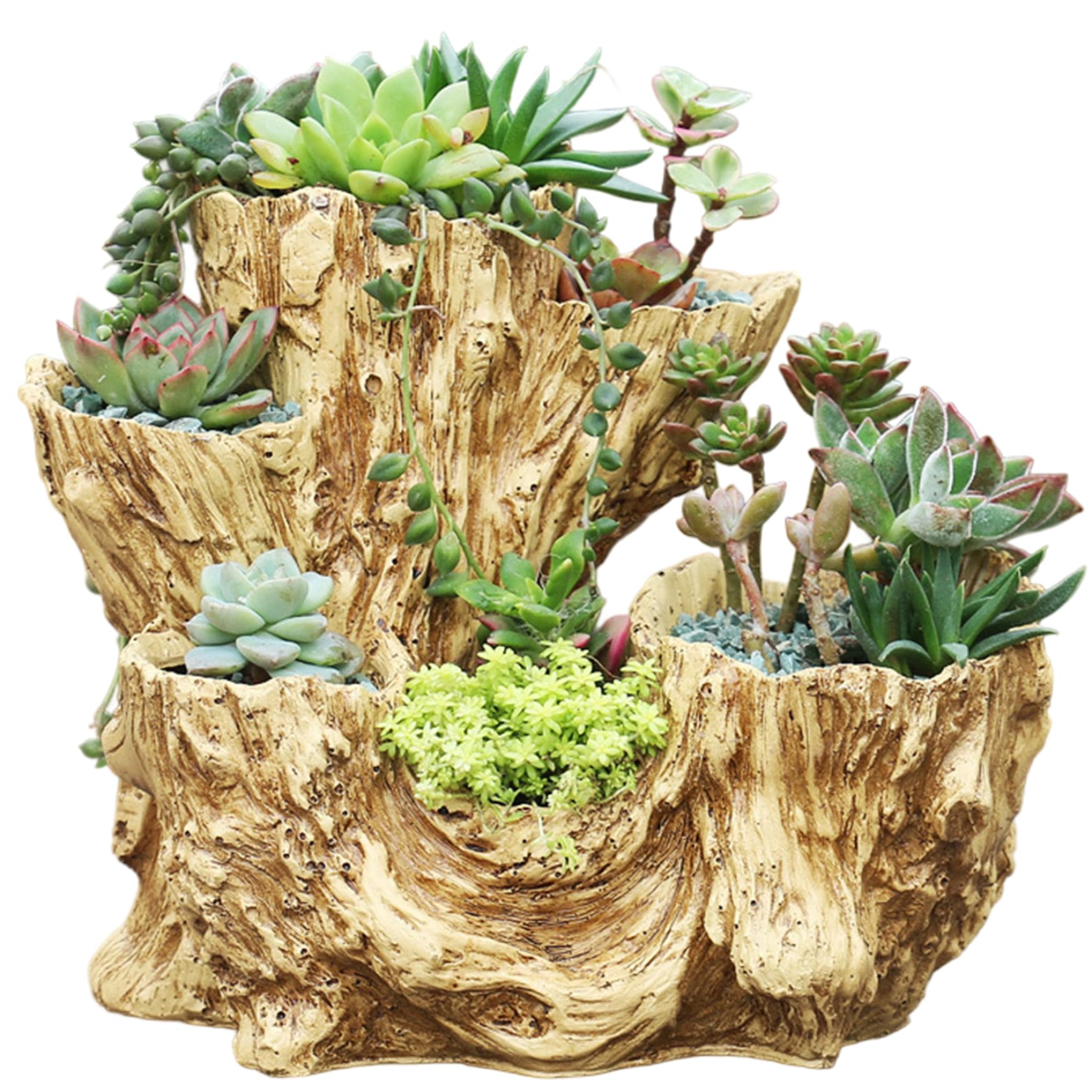 Uanqfegy Driftwood Planter - Resin Tree Stump Pot for Succulents