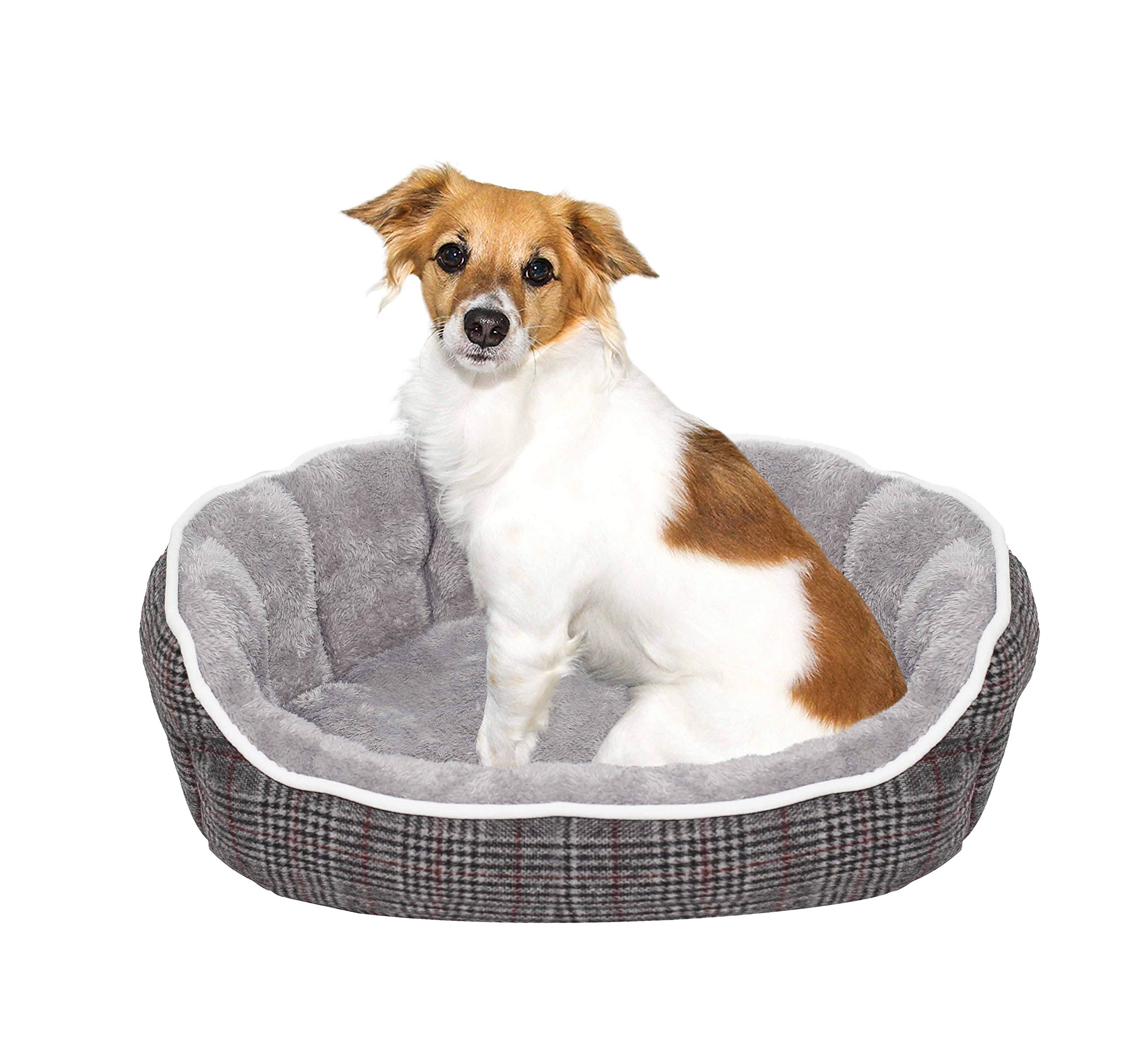 Sogni e Capricci Scotland Bedpet, Light Grey, 48x42x16cm