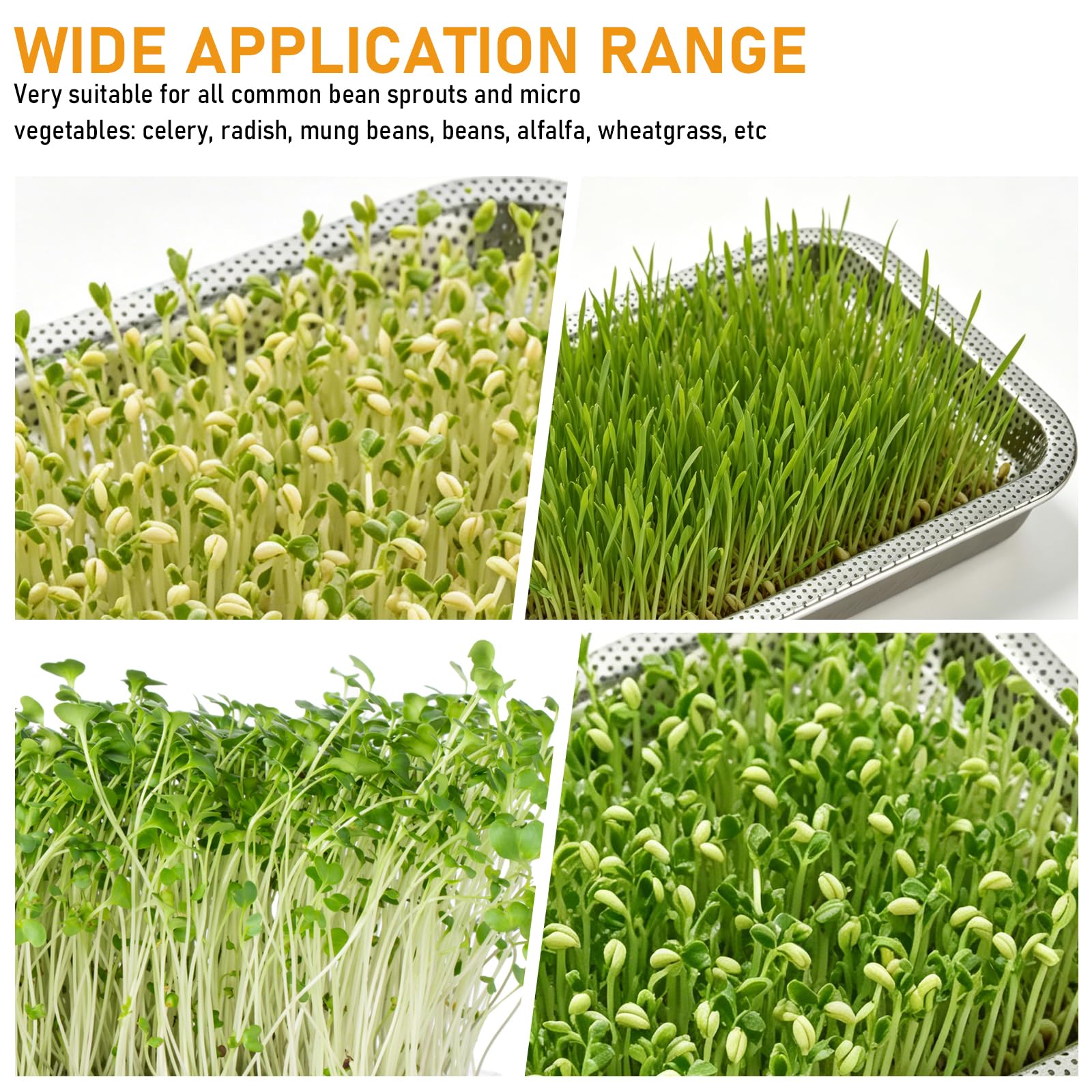 BORDEAG Plateaux De Germination: Lot De 2 27 × 20 Cm Plateau Semis en Acier Inoxydable, Bac à Germination pour Hydroponiques, Salade Feuillée, Haricots, De Blé, Hydroponie, Culture Intérieure
