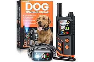 Esky Dog Training Collar
