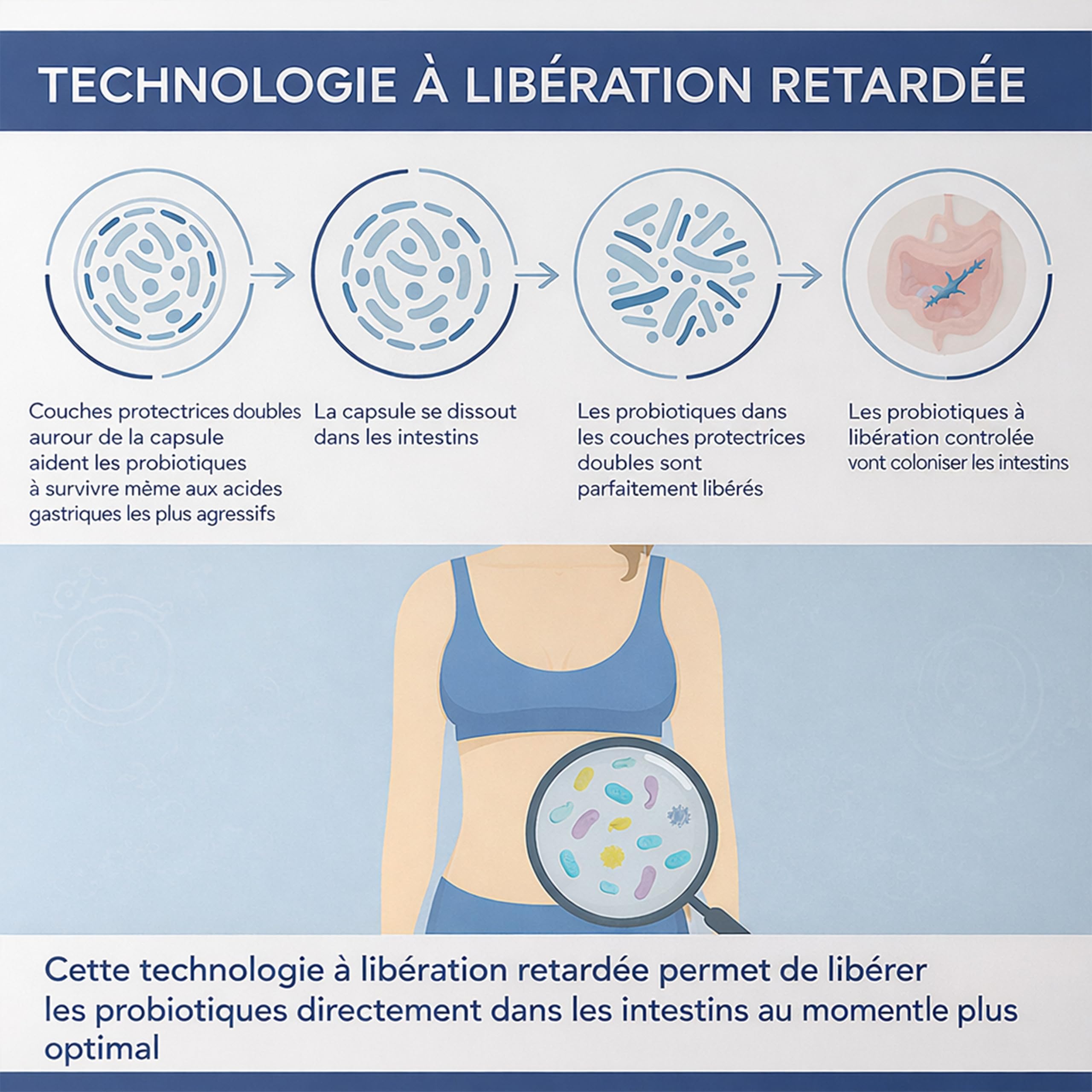 Harmony – Probiotiques & Prébiotiques – 260 Milliards UFC & 10 Souches – Soutien immunitaire – Inuline FOS GOS + Enzymes Digestives + Vitamines C & D3 – 90 Gélules Végétales