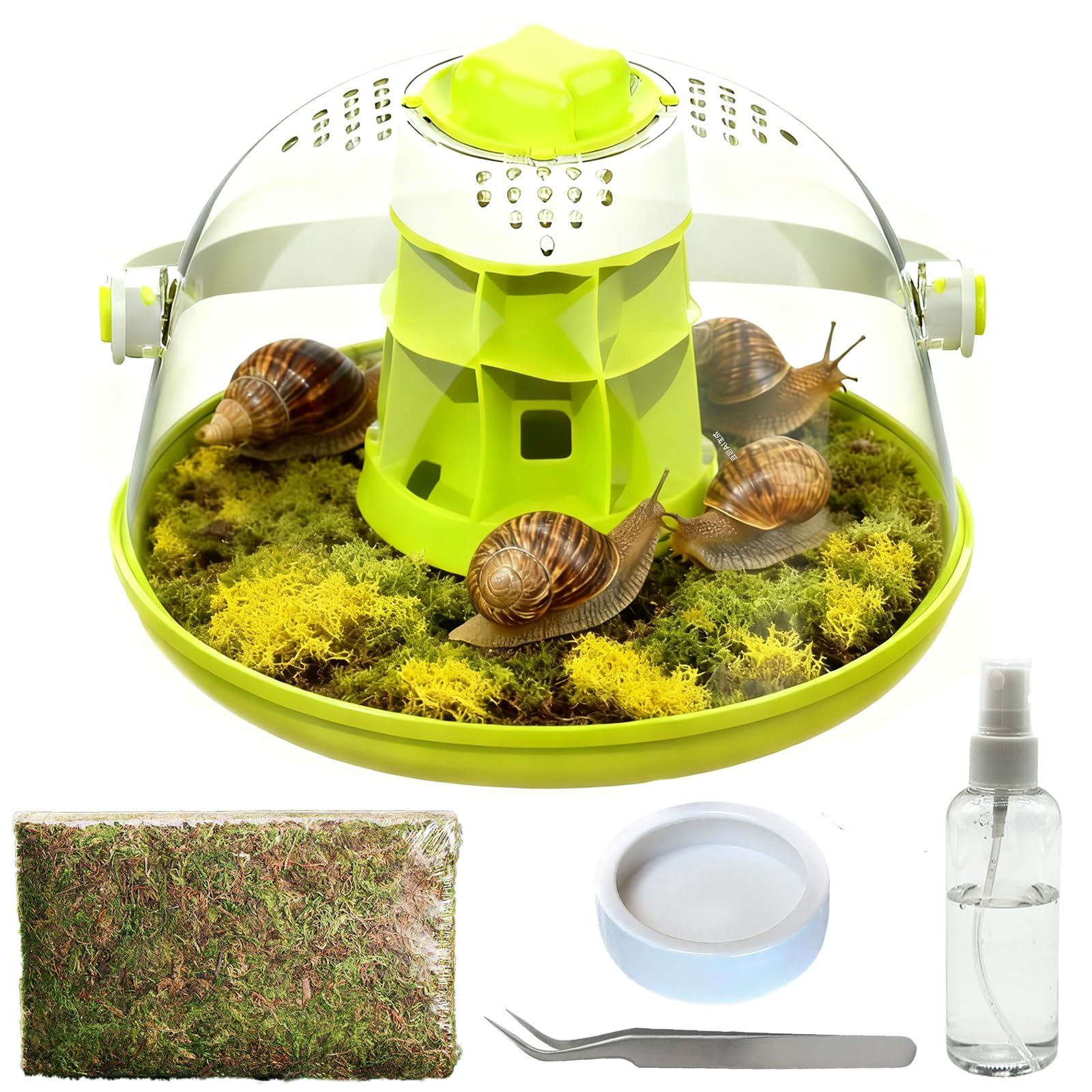Kit de terrarium pour escargots - Enclos d'insectes - Terrarium d'observation - Récipient d'observation des mantes priantes - Boîte d'élevage - Kit de démarrage pour coccinelles, araignées, petits
