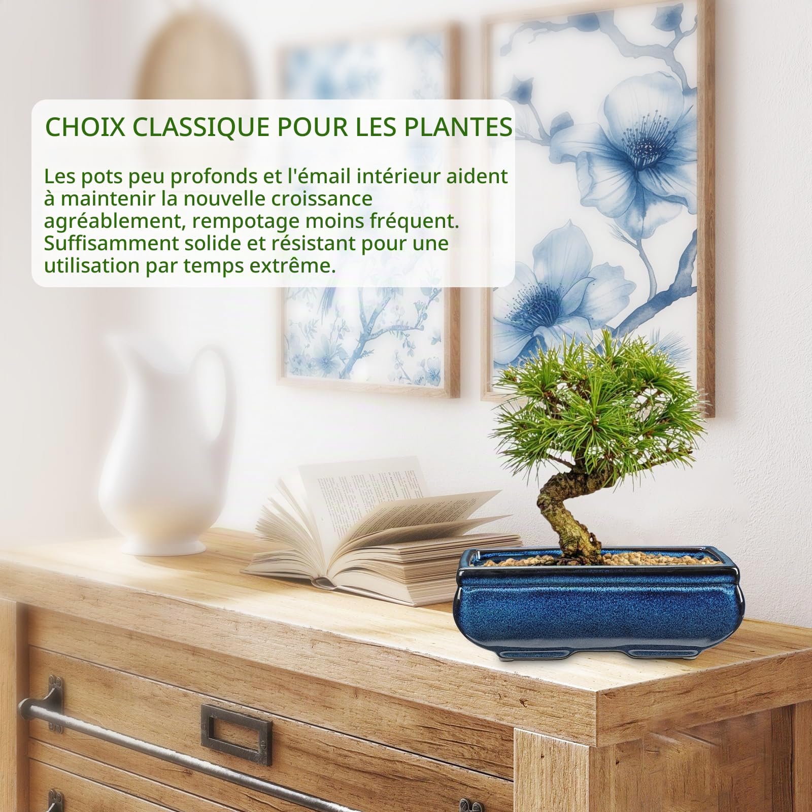 Oairse Lot de 2 pots à bonsaï peu profonds pour bonsaï vivants, pot de fleurs en céramique de 25,5 cm pour plantes grasses d'intérieur avec trou de drainage, cactus extérieur, pot de fleurs en