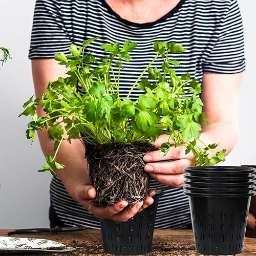 Miniatura 6 de Juego de 12 macetas de plástico ranurado transpirable de orquídea negra con orificio de drenaje, macetas de aire para plantas de interior (4.3