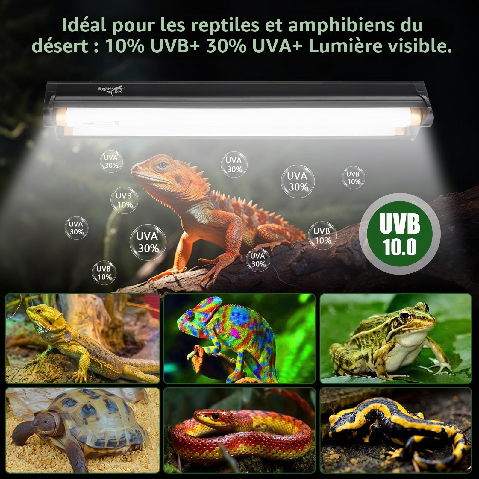 24W UVB lamp terrarium lumière T5 Lampe UVB 10.0 22" Kit combo d'éclairage | HO 10% UVB & 30% UVA UVB Light avec barre de lumière de désert reptile lampe UVB pour tortue dragon barbue léopard gecko tank