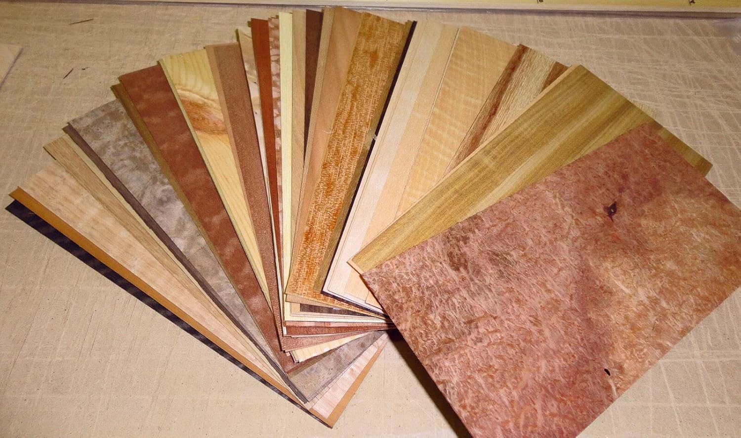 Wood Veneer Sample Pack with 50 Pieces 4" x 9" (Variety Species Domestic/Exotic)