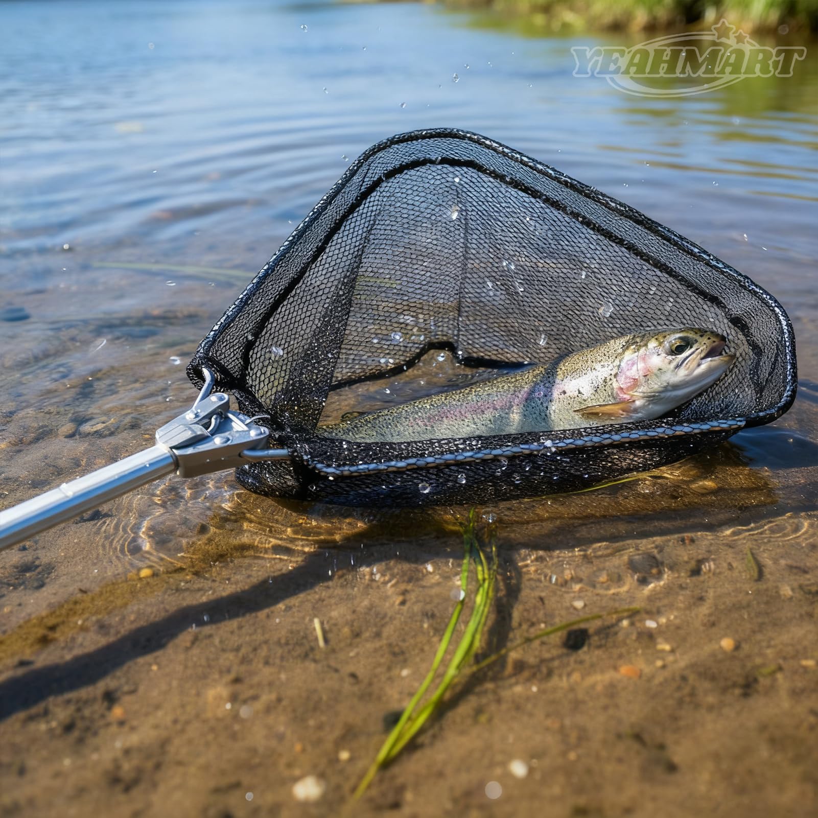 bainbridge island fly fishing rods Sage Fly Fishing Rods