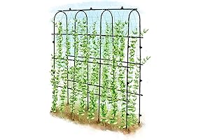 Garden Trellis for Green Beans, 6 ft Tall Cucumber Trellis