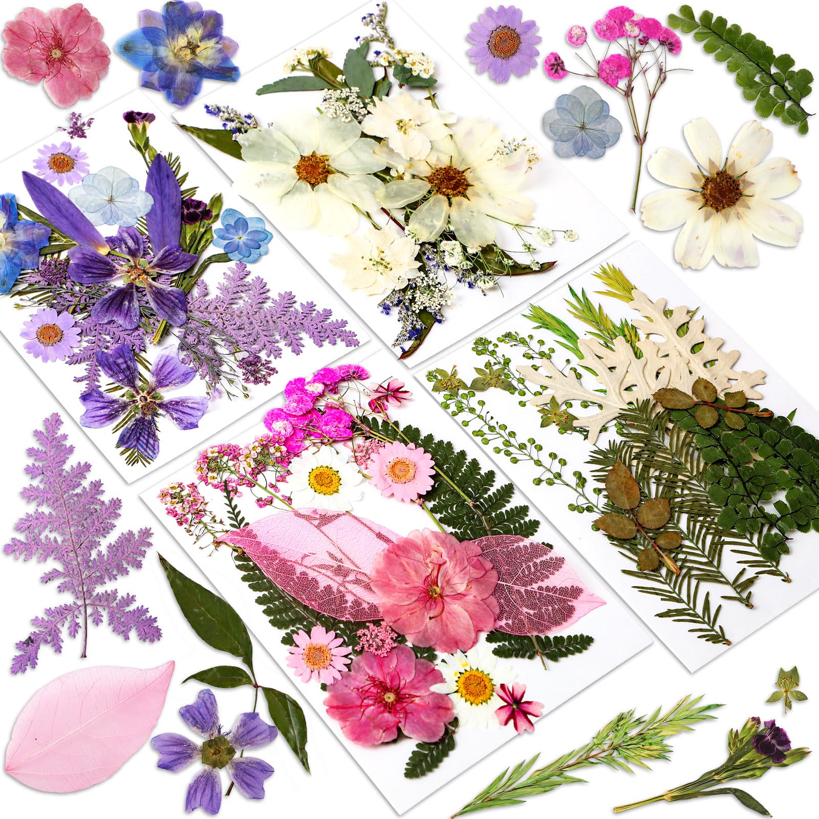 Augshy Dried Pressed Flowers Dry Leaves, 80 Pcs Real Pressed Flowers Leaves for Resin Molds Assorted Pink Blue White Flower for Crafts DIY Jewelry Molds, Scrapbooking, Candle
