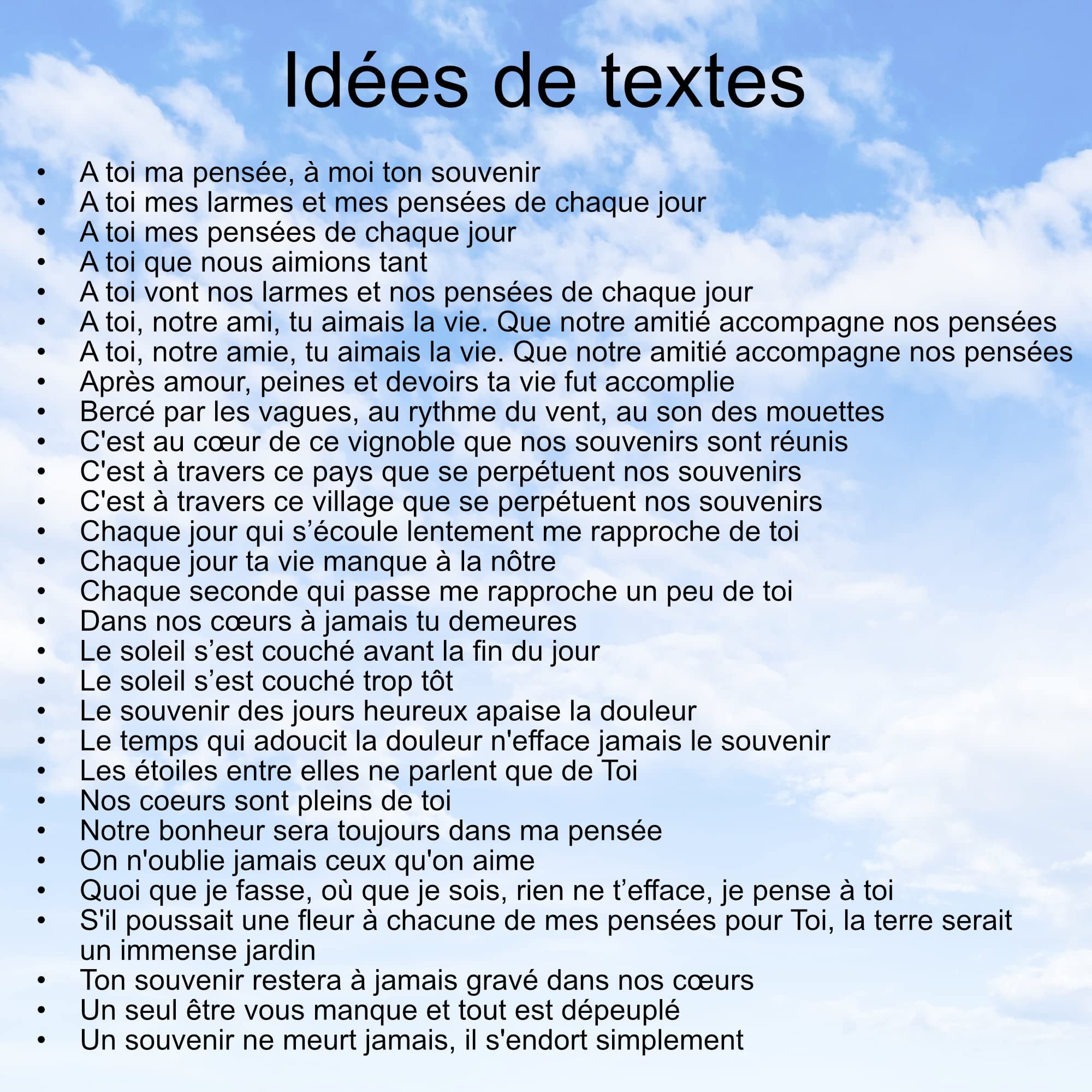 Plaque Funéraire Personnalisée Rectangle - Photos et Textes 100% Personnalisables - Plaque Funéraire en Altuglass - Résistante aux Intempéries et Traitée Anti UV (30x20 cm (standard))