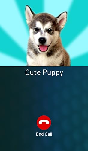 Cute Pets Prank Call (Cat, Dog, Rabbit, Hamster and more!)